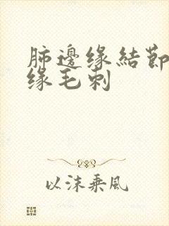 肺边缘结节影边缘毛刺