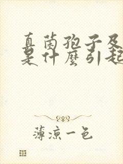 真菌孢子及菌丝是什么引起的