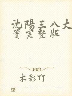 沈阳三八大案纪实完整版