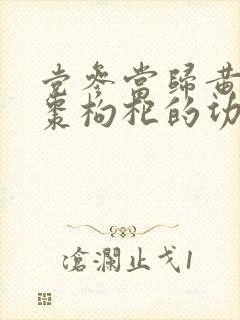 党参当归黄芪红枣枸杞的功效与作用封面