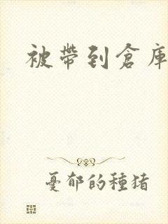 被带到仓库糟蹋封面