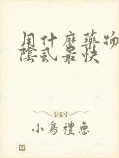 用什么药物治疗阴虱最快封面