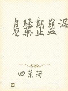 月经期崩漏吃什么药止血