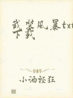 武装风暴txt下载