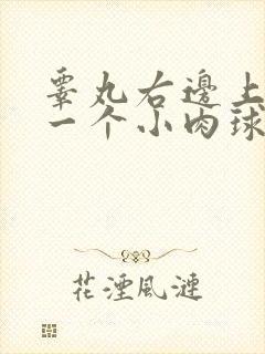 睾丸右边上长了一个小肉球硬硬的