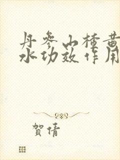 丹参山楂黄芪泡水功效作用封面