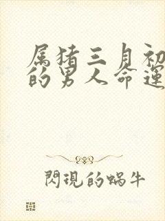 属猪三月初三生的男人命运封面