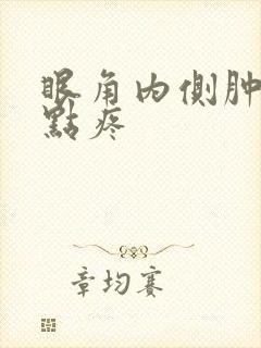 眼角内侧肿了有点疼
