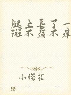 腿上长了一块红斑不痛不痒封面