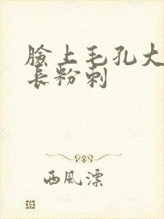 脸上毛孔大经常长粉刺