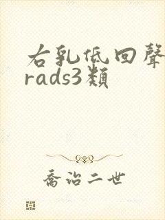 右乳低回声birads3类