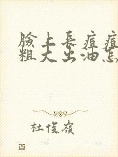 脸上长痘痘毛孔粗大出油怎么办