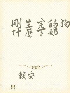 刚生完的狗狗吃什么下奶封面