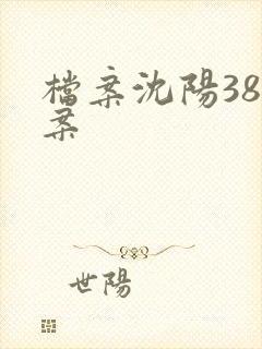 档案沈阳38大案