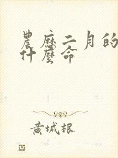 农历二月的马是什么命