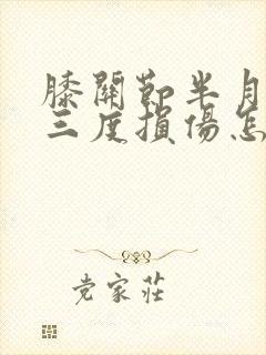 膝关节半月板二三度损伤怎么治封面