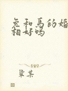兔和马的婚配属相好吗