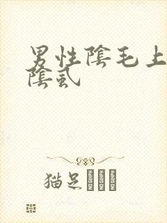 男性阴毛上长了阴虱
