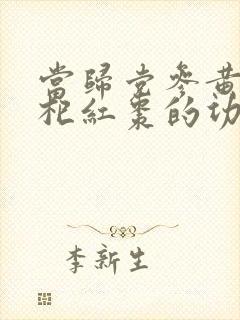 当归党参黄芪枸杞红枣的功效与作用