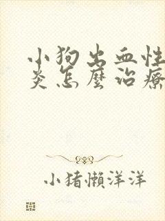 小狗出血性肠胃炎怎么治疗