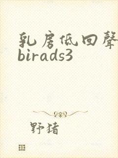 乳房低回声结节birads3