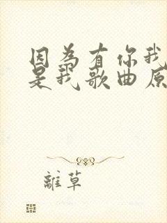 因为有你我不再是我歌曲原唱
