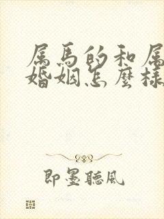 属马的和属猴的婚姻怎么样