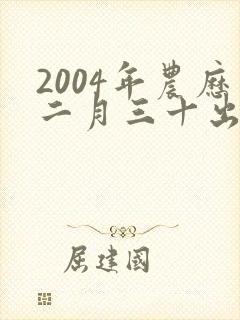 2004年农历二月三十出生的人命运
