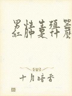 男性生殖器瘙痒红肿是什么原因封面