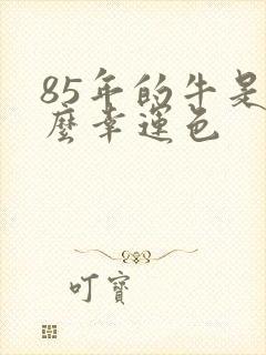 85年的牛是什么幸运色