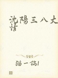 沈阳三八大案详情封面