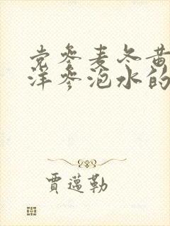 党参麦冬黄芪西洋参泡水的功效与作用