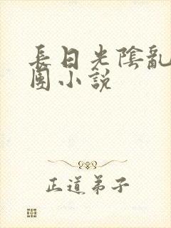 长日光阴乱作一团小说