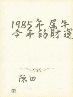1985年属牛今年的财运怎么样