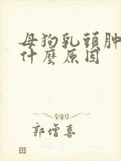 母狗乳头肿大是什么原因