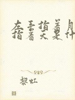 左手指着月右手指着天是什么歌