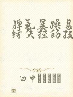 脾气暴躁易怒情绪失控的孩子