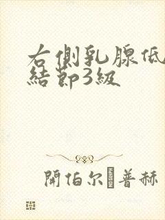 右侧乳腺低回声结节3级