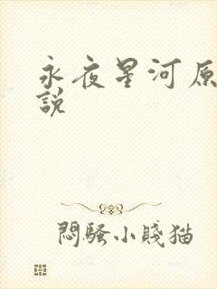 永夜星河原著小说封面