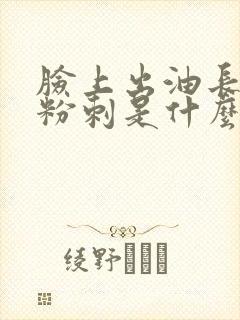 脸上出油长闭口粉刺是什么原因封面