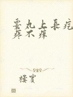 睾丸上长疙瘩不疼不痒
