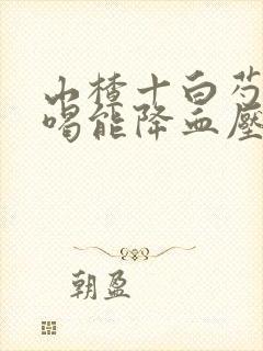 山楂十白芍煮水喝能降血压吗