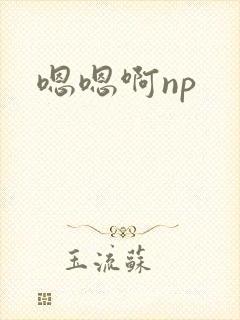 嗯嗯啊np