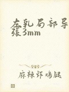 左乳局部导管扩张3mm封面