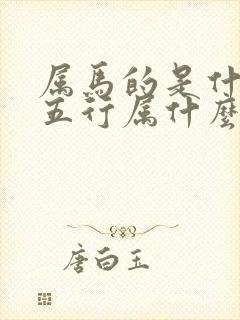 属马的是什么命五行属什么