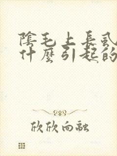 阴毛上长虱子是什么引起的