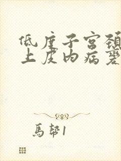 低度子宫颈鳞状上皮内病变