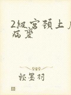 2级宫颈上皮内病变封面