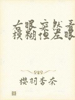 右眼突然看东西模糊但左眼很正常