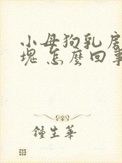 小母狗乳房有硬块 怎么回事
